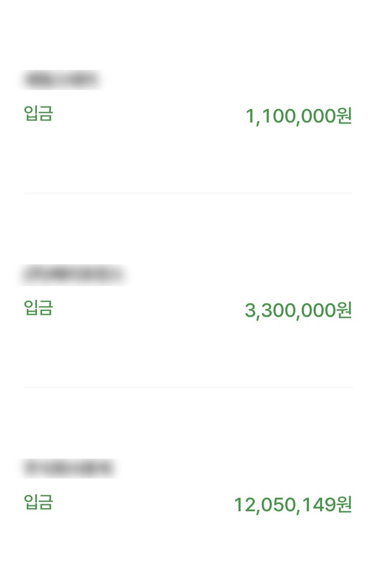 입금 내역 캡처 — 110만원, 330만원, 1,205만원